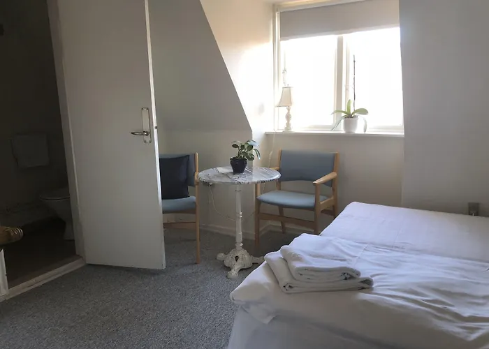 登亚姆勒阿莱斯特酒店 3* 里伯