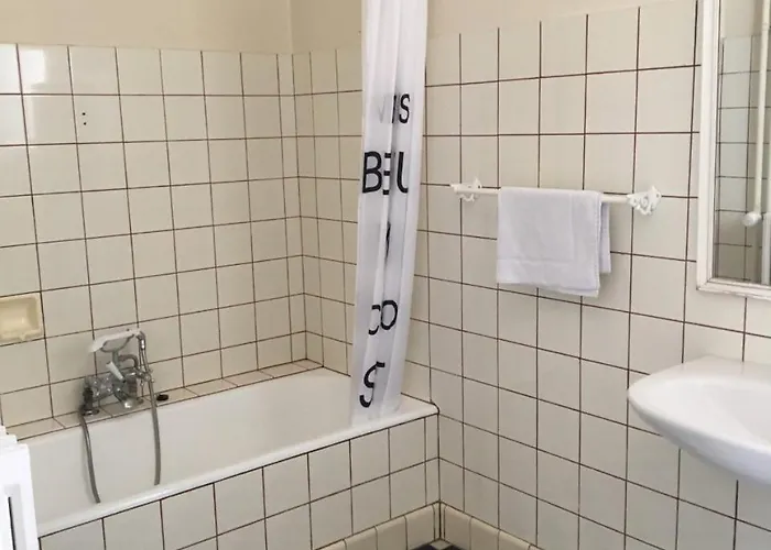 登亚姆勒阿莱斯特酒店 3*