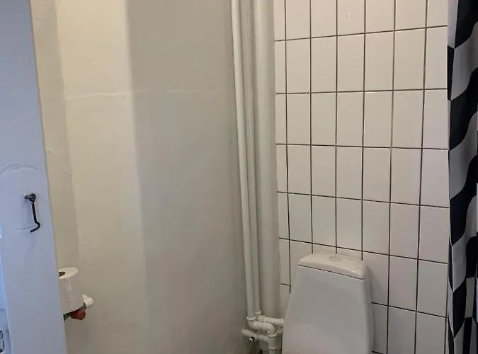 登亚姆勒阿莱斯特酒店 3* 里伯