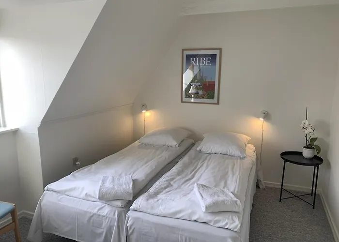 登亚姆勒阿莱斯特酒店 住宿加早餐酒店 3*