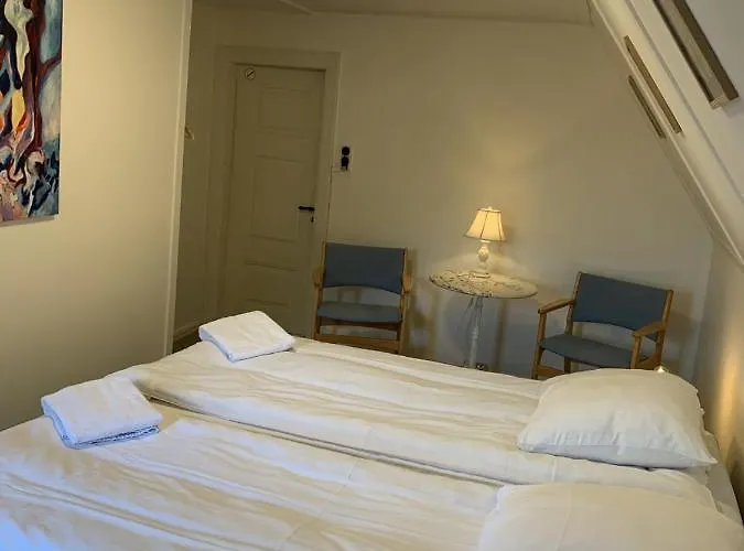 登亚姆勒阿莱斯特酒店 3*